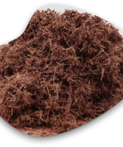 Mimosa Hostilis Root Bark 5kg