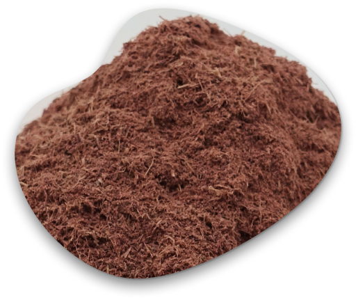 Mimosa Hostilis Root Bark 2kg