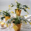 Künstliche Weihnachtskaktusblüten