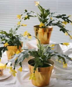 Künstliche Weihnachtskaktusblüten