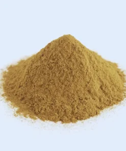 Mimosa Pudica Capsules